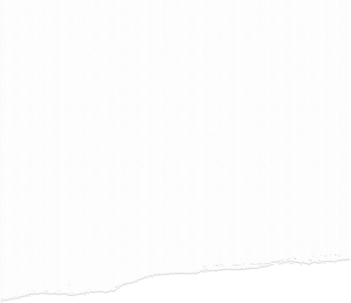 Paper with Ripped Edge 