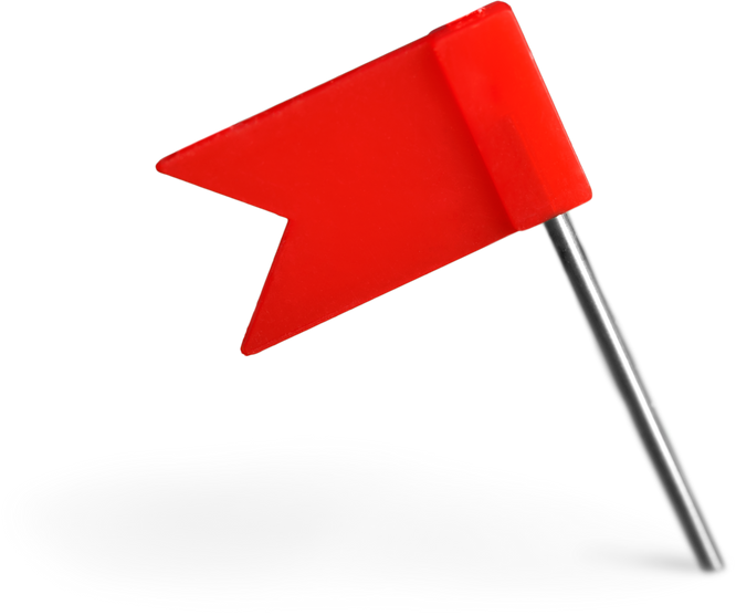 Red Flag Pin